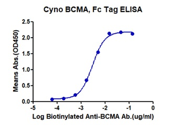 Monkey BCMA Protein