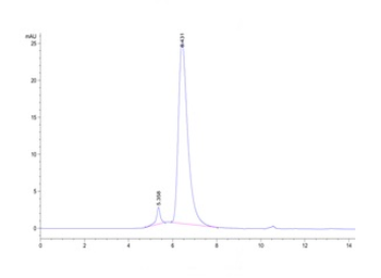 Monkey BCMA Protein