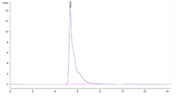 Human BAFFR Protein