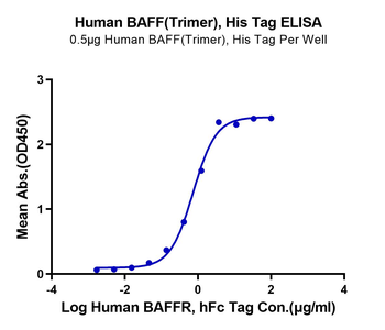 Human TNFSF13B (Trimer) Protein