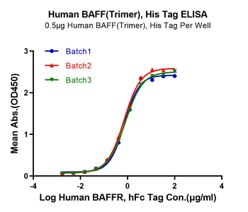 Human TNFSF13B (Trimer) Protein