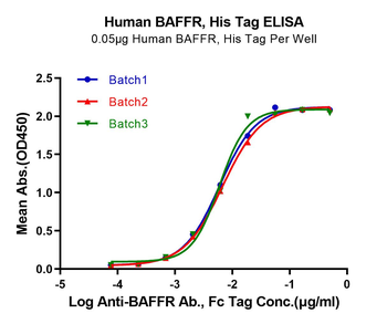 Human BAFFR Protein