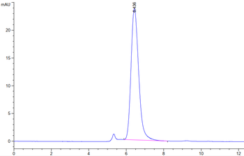 Human CD80 Protein