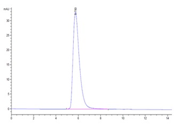 Monkey ACE2 Protein