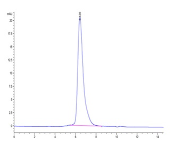 SARS-Cov-2 Spike S1 NTD Protein