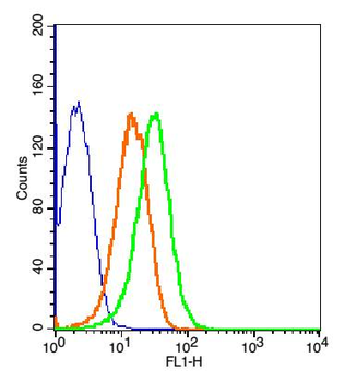 CTLA4 antibody