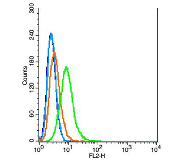 CTLA4 antibody