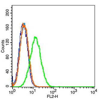 CTLA4 antibody