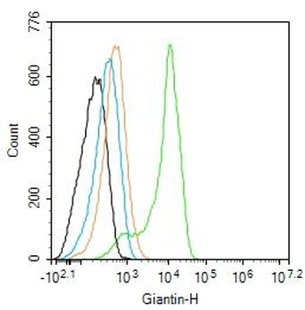 Giantin antibody