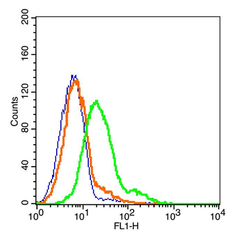 Giantin antibody