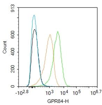 GPCR EX33 antibody