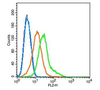 HB9 antibody