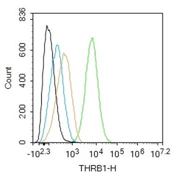 THRB1 antibody