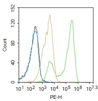 THRB1 antibody