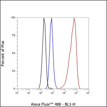 STIP1 Antibody