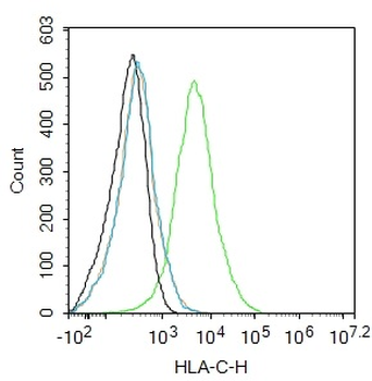 HLA-C Antibody