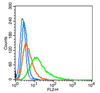 Nephrin antibody