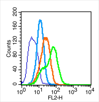 Nephrin antibody