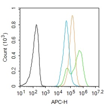 NFkB p65 (phospho-Ser281) antibody