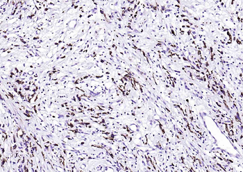 F(ab')₂ Fragment Goat Anti-Mouse IgG H&L, Biotin conjugated