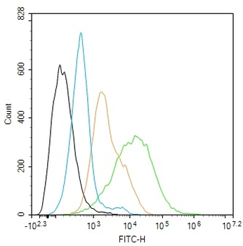 ADGRE1 Antibody