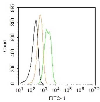GPR49 Rabbit Polyclonal Antibody (FITC)