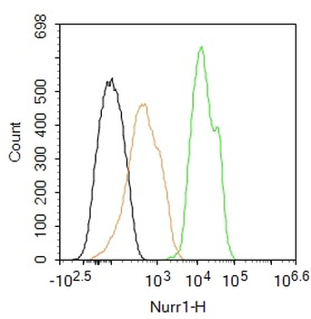 Nurr1 Rabbit pAb, FITC conjugated