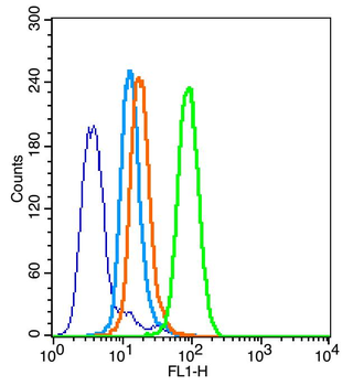 BAX antibody