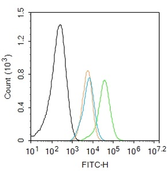 BCL2 (phospho-Thr129) antibody