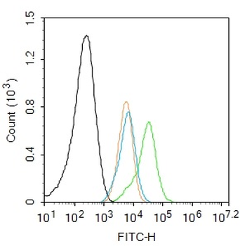 BCL2 (phospho-Thr129) antibody