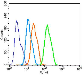 FGF2 Rabbit Polyclonal Antibody