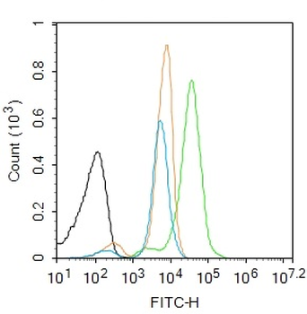 MCL1 Rabbit Polyclonal Antibody