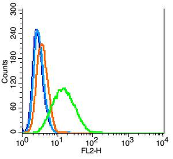 IDO1 Rabbit Polyclonal Antibody