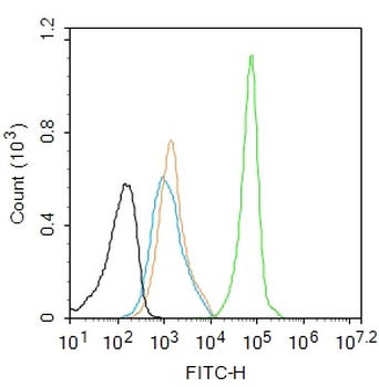Phospho-Estrogen Receptor alpha (Ser118) Recombinant Rabbit Monoclonal Antibody