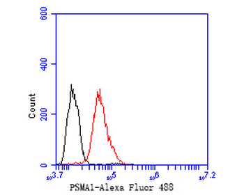 PSMA1 Antibody