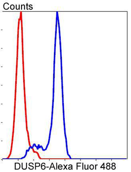 DUSP6 Recombinant Rabbit Monoclonal Antibody