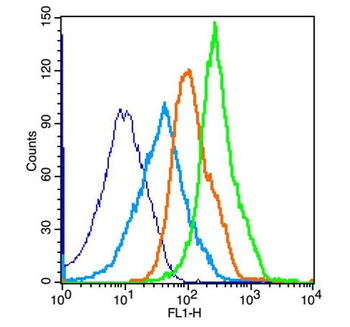 mTOR (phospho-Ser2481) antibody