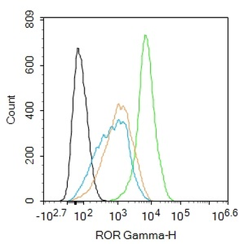 RORC Rabbit Polyclonal Antibody