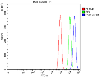 Poliovirus Receptor/PVR Antibody (monoclonal, 5I13D1)