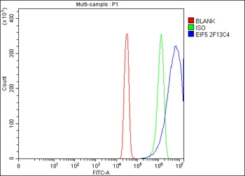 EIF5 Antibody (monoclonal, 2F13C4)