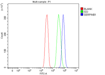 PI2/SERPINB1 Antibody