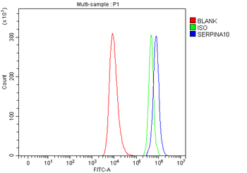 ZPI/SERPINA10 Antibody