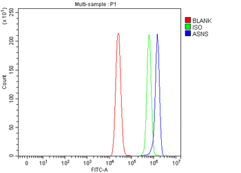 RAB3GAP1 Antibody