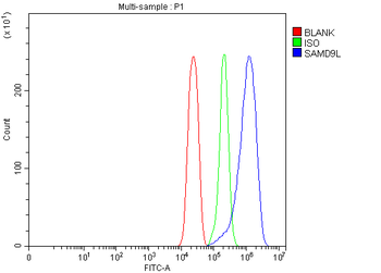 SAMD9L Antibody