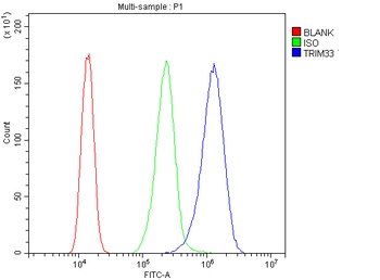 TIF1 gamma/TRIM33 Antibody