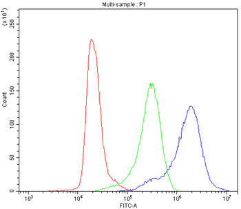 TCP1 delta/CCT4 Antibody