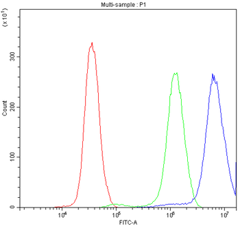 TCP1 delta/CCT4 Antibody