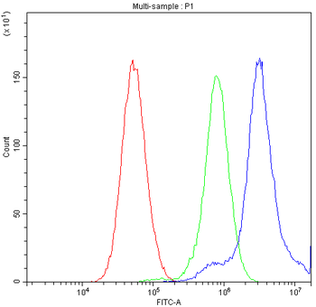 TCP1 delta/CCT4 Antibody