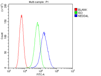 NEDD4-2/NEDD4L Antibody