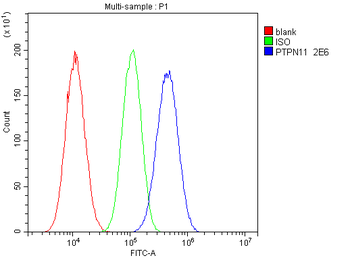SHP2/PTPN11 Antibody (monoclonal, 2E6)